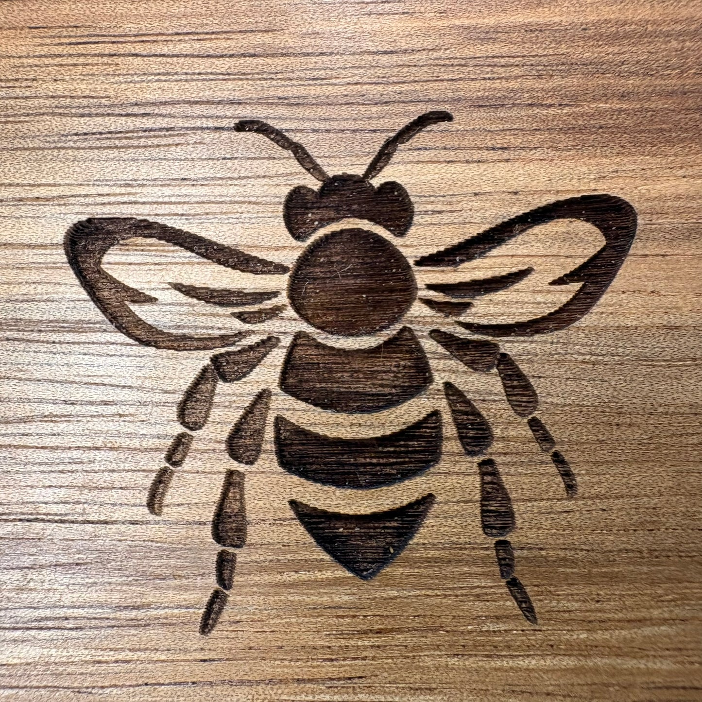 The Bees Knees Coasters | 4pc Set